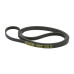 Ремінь 1232 J4 black (Dayco 1232 J4)