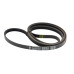 Ремінь 1232 J4 black (Hutchinson Poly.V 1232 PJ)