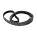Ремінь 1244 J5 black (Hutchinson Poly.V 1244 PJ)