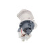 Насос для пральної машини Siemens, Bosch (40 мм + 24 мм) (Askoll M325 40W) - 00141120 / 00141283