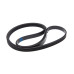 Ремінь 1173 J5 EL black (Megadyne EL 1173 J5) для пральних машин Daewoo, LG - 3616591100 / 4400FR3116A