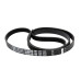 Ремінь 1023 EPH 7 black (Optibelt)